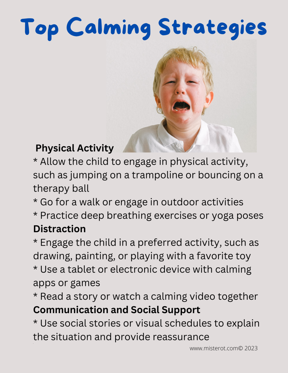 Sensory/Emotional Regulation